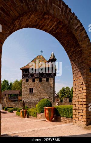 Edificio storico, Ecomusee, Ungersheim, Alsazia, Francia Foto Stock