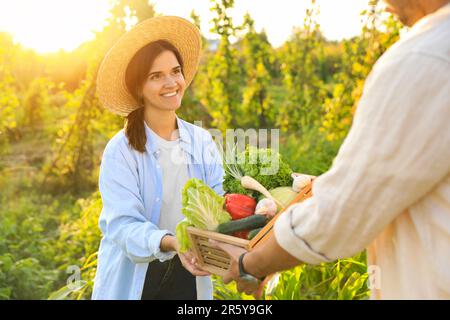 Donna e uomo che raccolgono diverse verdure fresche mature in fattoria Foto Stock