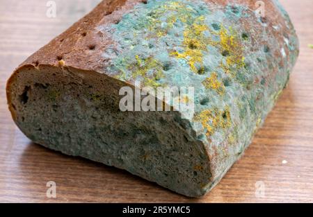 pane sulla tavola con muffa Foto Stock