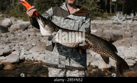 maschio pescatore tiene un grande pesce luccio catturato sulla riva del lago sullo sfondo di pietre Foto Stock