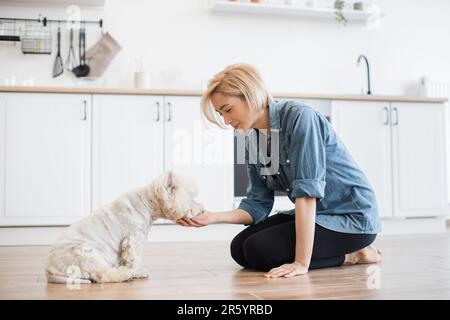 Bella donna bionda in abiti accoglienti che alimenta a mano un piccolo animale domestico mentre si soggiorna a casa durante il fine settimana. Custode femminile attento che dà la cura preferita dell'animale per il comando seguito con successo. Foto Stock