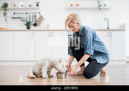 Giovane donna premurosa in camicia di denim e pantaloni yoga mettendo ciotola per cane con colazione per animale domestico a pelliccia bianca sul pavimento della camera. Affettuosa donna proprietario che fornisce la migliore cura per piccolo animale in casa interno. Foto Stock