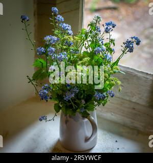 Fiori graziosi disposti in una brocca, con una profondità di campo poco profonda Foto Stock