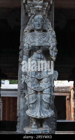 Scultura di Donne sulla colonna di Mandapa a Chintala Venkatramana Swamy Tempio, Tadipatri, Andhra Pradesh, India. Foto Stock