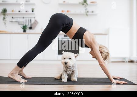Vista laterale di atletica giovane donna in abbigliamento sportivo in piedi in posizione di cane rivolto verso il basso con piccolo animale domestico sul tappeto interno. Fit adulta caucasica che esegue un buon allenamento yoga con il migliore amico a casa. Foto Stock