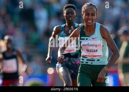 HENGELO, PAESI BASSI - GIUGNO 4: SIFAN Hassan dei Paesi Bassi durante i Giochi FBK 2023 in competizione con le 1500m Donne il 4 Giugno 2023 a Hengelo, Paesi Bassi (Foto di Andre Weening/Orange Pictures) Foto Stock