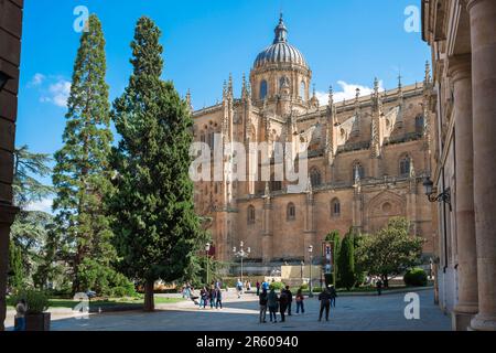 Cattedrale di Salamanca, vista estiva della Catedral Nueva con Plaza de Anaya in primo piano, storica città di Salamanca, Spagna. Foto Stock