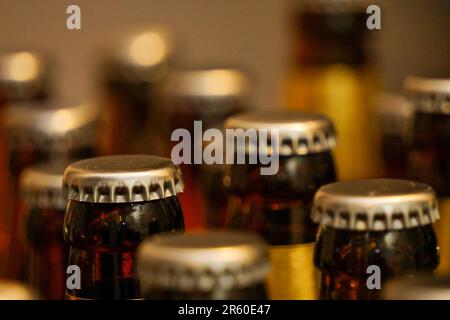 Processo di produzione della birra a casa in cucina Foto Stock