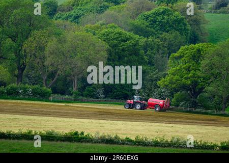 Coltivatore che lavora trattore di guida e serbatoio di fertilizzante cilindrico spruzzando slurry di scarico su campagna terreno agricolo pascolo erba - Yorkshire, Inghilterra UK Foto Stock