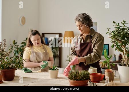 Donna e ragazza con sindrome di Down indossare guanti di gomma per piantare piante a tavola Foto Stock