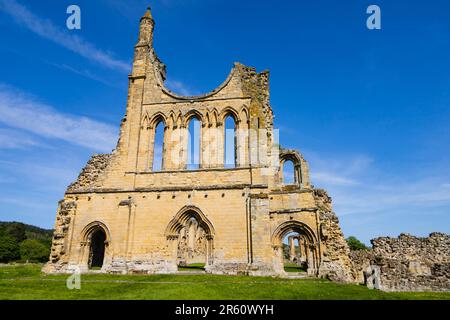 Rovine cistercensi dell'Abbazia di Byland nel Parco Nazionale delle Moors del North Yorkshire. Ryedale. Foto Stock