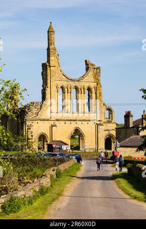 Rovine cistercensi dell'Abbazia di Byland nel Parco Nazionale delle Moors del North Yorkshire. Ryedale. Foto Stock