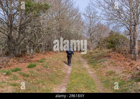 Navarra, Spagna, 04 dicembre, 2022: Passeggiata pellegrina lungo il Camino De Santiago, la Via San Itinerario di pellegrinaggio di James, Navarra, Spagna. Foto Stock