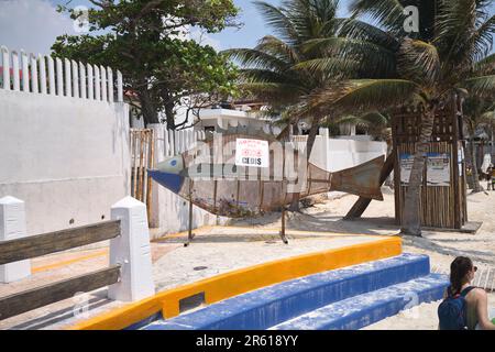 Cestino per il riciclaggio di bottiglie a forma di pesce sulla spiaggia di Puerto Morelos, Yucatan, Messico Foto Stock