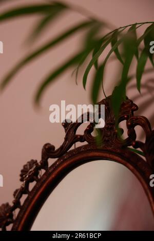 Camera dallo stile contemporaneo con specchio decorativo a parete e una vivace pianta in vaso verde nell'angolo Foto Stock