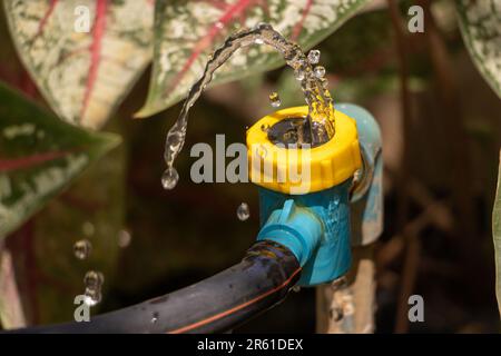 Spruzzi d'acqua da un segmento su un tubo nel giardino Foto Stock