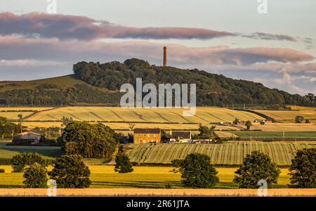 Vista della torre collinare di Hopetoun e del paesaggio agricolo, Byres Hill, East Lothian, Scotland, UK Foto Stock