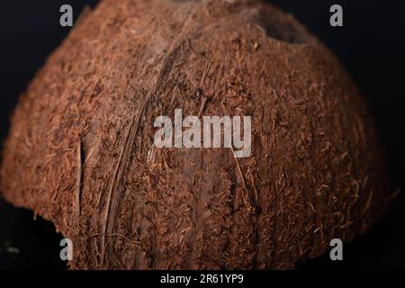 Primo piano del guscio di cocco con le sue fibre e la sua consistenza Foto Stock