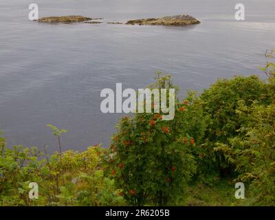 Un'idilliaca isola tropicale situata in un sereno oceano blu sotto un cielo nuvoloso Foto Stock