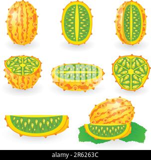 Illustrazione vettoriale del kiwano noto anche come melone cornuto africano o cetriolo, zucca coperta, pomodoro inglese, melano Illustrazione Vettoriale