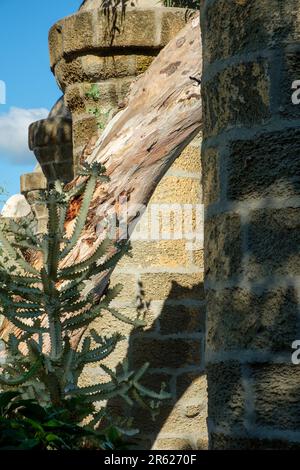 Ammiragli' Inn e il Ristorante Pillars, Nelson's Dockyard, English Harbour, Antigua Foto Stock