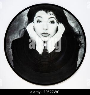 Picture disc Seven inch single of this Woman's Work by Kate Bush, pubblicato nel 1989 Foto Stock