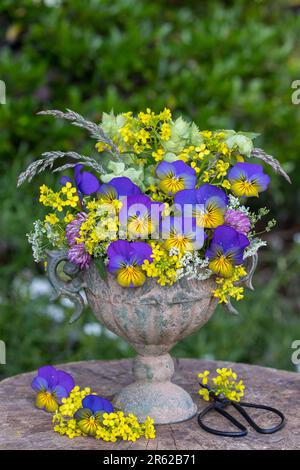 bouquet di fiori di viola, bedpaglierino giallo e fiori di prato in vaso d'annata Foto Stock