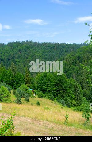 Questa accattivante fotografia mostra la serena bellezza del Monte Tara, catturando una pittoresca scena di un lussureggiante prato che si fonde perfettamente in una tana Foto Stock