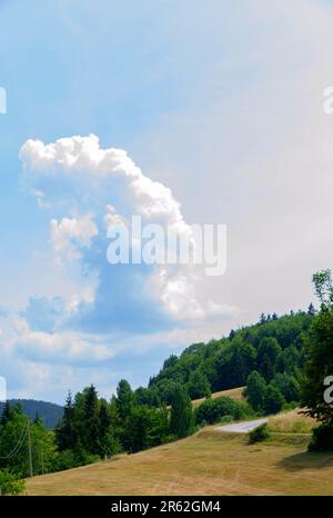 Questa accattivante fotografia mostra la serena bellezza del Monte Tara, catturando una pittoresca scena di un lussureggiante prato che si fonde perfettamente in una tana Foto Stock