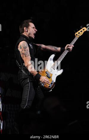 Milano Italia 2009-11-10: Mike Dirnt bassista della Giornata Verde durante un concerto dal vivo al Forum Assago Foto Stock