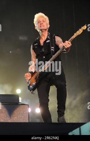 Milano Italia 2013-05-24: Mike Dirnt bassista della Giornata Verde durante un concerto dal vivo all'Arena Fiera Rho Foto Stock