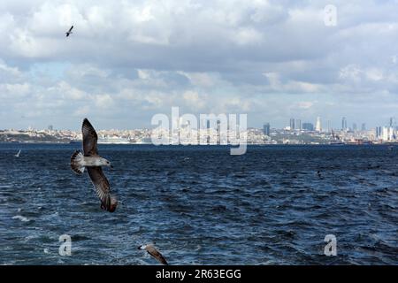 Gabbiani che volano dietro un traghetto passeggeri diretto in Asia nel Bosforo con lo skyline europeo di Istanbul sullo sfondo, Turkiye / Turchia. Foto Stock