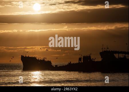 Silhoutte della SS Palo Alto vicino al tramonto, un vecchio naufragio della seconda guerra mondiale al largo della costa di Aptos, California Foto Stock