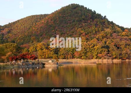 Hirosawa stagno foglie autunnali Foto Stock