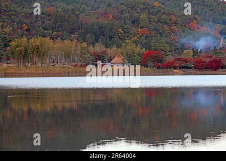 Hirosawa stagno foglie autunnali Foto Stock