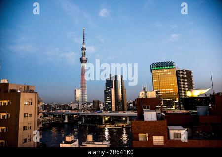 Vista verso il Tokyo Sky Tree al crepuscolo da Asakusa Foto Stock