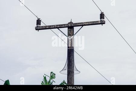 Rete di protezione in nylon o serpente intorno al palo elettrico per proteggere gli animali che si arrampicano con lo sfondo del cielo Foto Stock