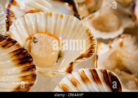 Pesce appena pescato al pescivendolo sul tavolo Foto Stock