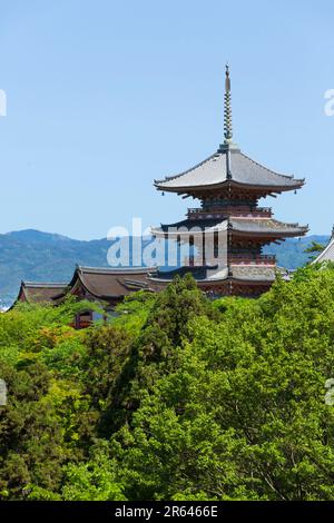 Pagoda a tre piani del Tempio Kiyomizu-dera in verde fresco Foto Stock