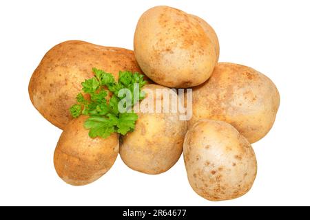 Patate senza sfondo. Gruppo di patate crude con prezzemolo. Foto Stock