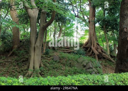 Monte Suribachi Foto Stock