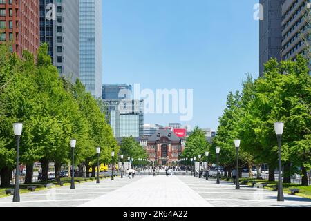 Viale Gyoko-dori, Palazzo Imperiale Foto Stock