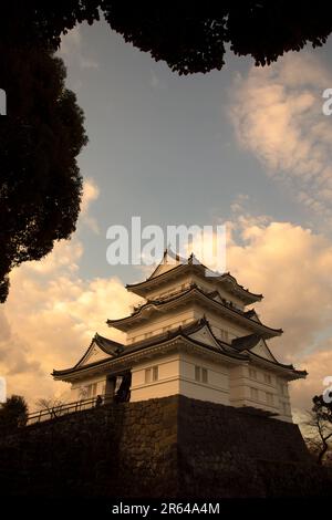 Il castello di Odawara Foto Stock