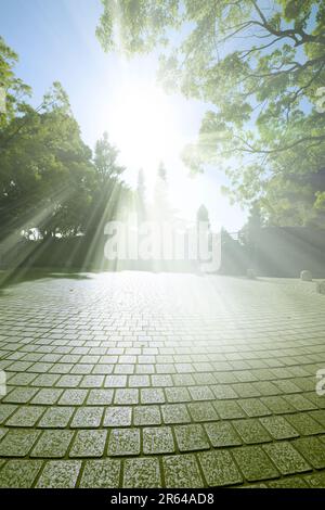 Luce del sole e la piazza acciottolata del parco Foto Stock