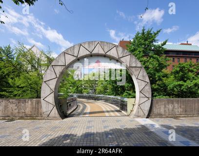 Ponte Pauline nel Parco Yamashita Foto Stock