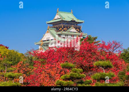 Castello di Osaka e foglie autunnali Foto Stock