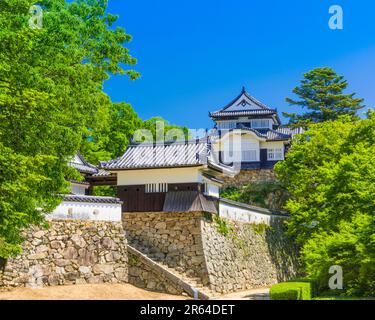 Bitchu il Castello di Matsuyama e Foto Stock