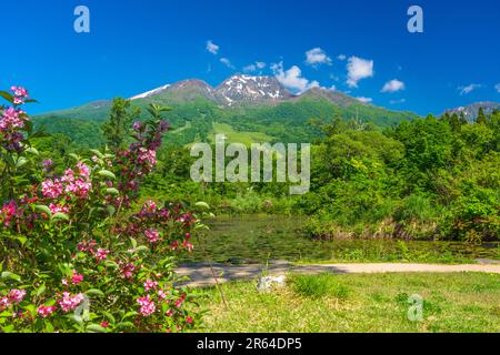 Imori stagno e Monte Myokosan Foto Stock