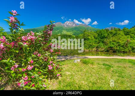 Imori stagno e Monte Myokosan Foto Stock