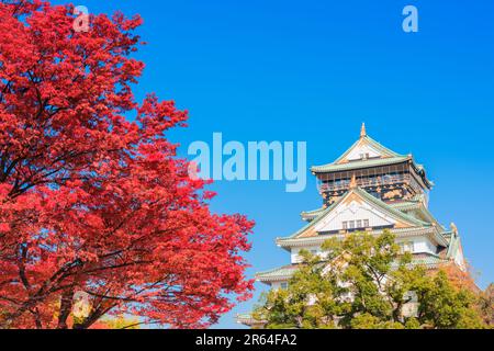 Castello di Osaka e foglie autunnali Foto Stock